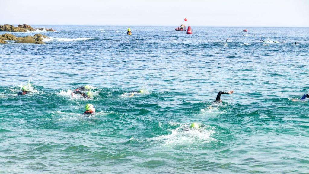 Nadadores durante la prueba de 10.000 metros de Travesía Costa en 2021.