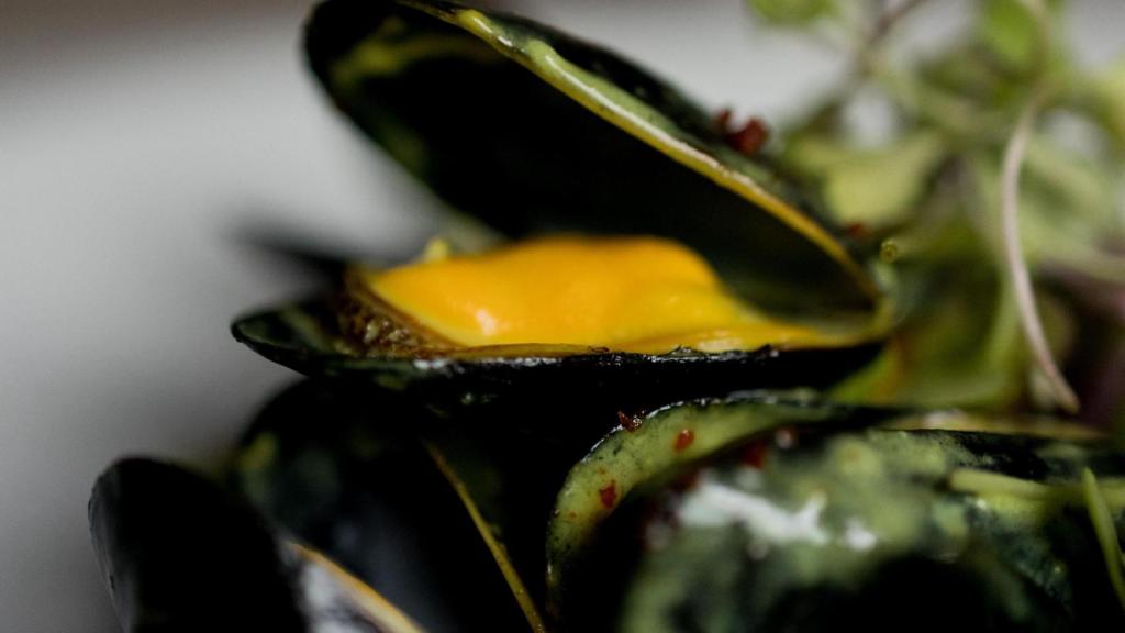 El mejillón de Bouchot en Candeli.