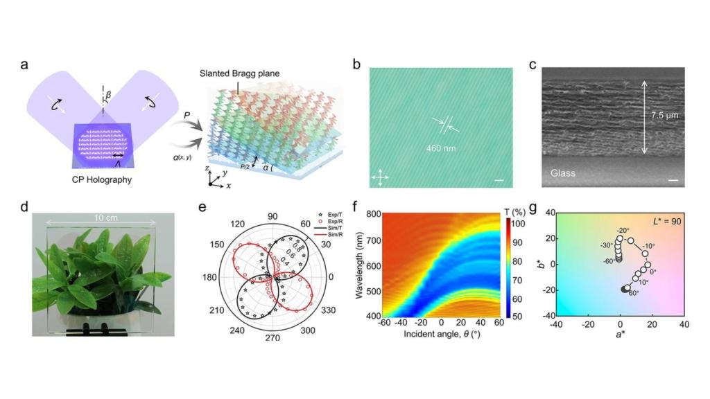 Diagrama explicativo del nuevo recubrimiento solar para vidrio