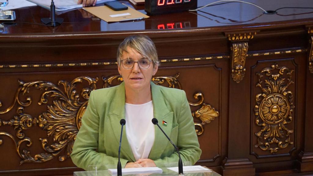 La portavoz de Compromís en el Ayuntamiento, Papi Robles. EE