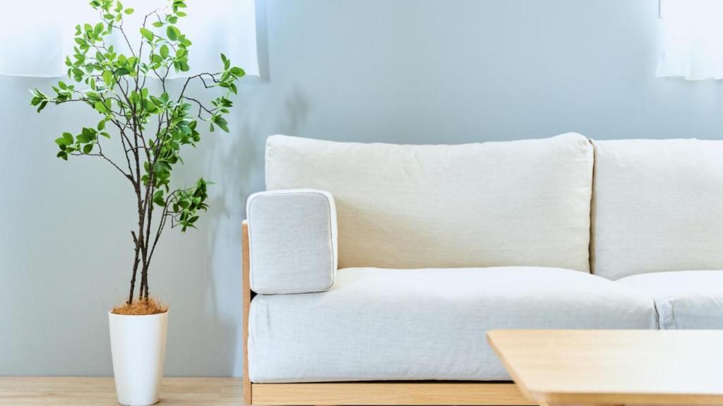 Salón con paredes azul blanco.