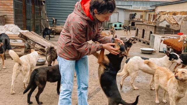 Valentina Stoianov, veterinaria y fundadora de Vet Crew, el hospital veterinario que rescata animales en Ucraina.