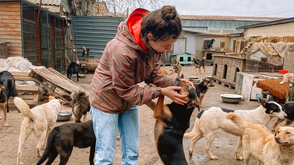 Valentina Stoianov, veterinaria y fundadora de Vet Crew, el hospital veterinario que rescata animales en Ucraina.