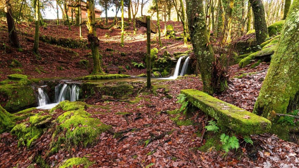 Parque Natural de Monte Aloia