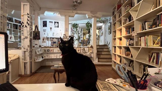 Preta, la gata de la librería Libros para un mundo mejor.