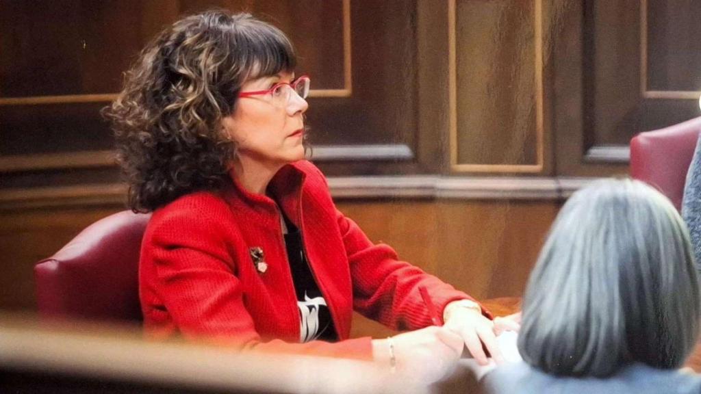 Ana Rivero en la mesa de taquígrafos del Congreso.