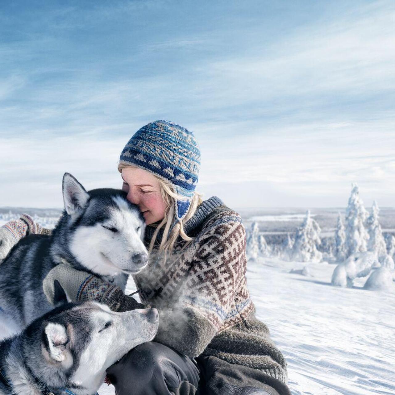 En el viaje disfrutarás de la compañía de los huskies.