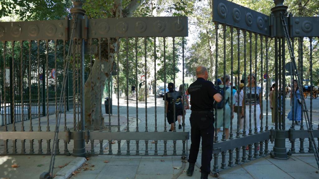El Parque de María Luisa, cerrado tras la aparición de tres patos muertos.