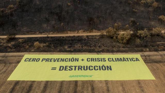 La pancarta desplegada por Greenpeace en Palacios de Jamuz (León)
