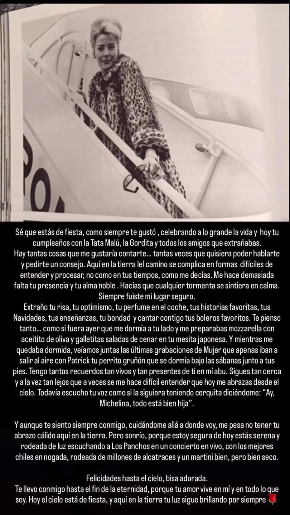 Michelle Salas, en un 'story' de Instagram.