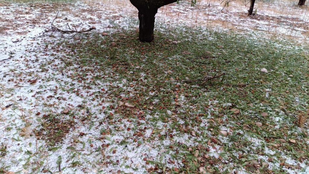 Campo de la provincia de Huesca destrozado por el granizo