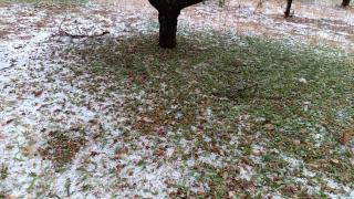 Campo de la provincia de Huesca destrozado por el granizo