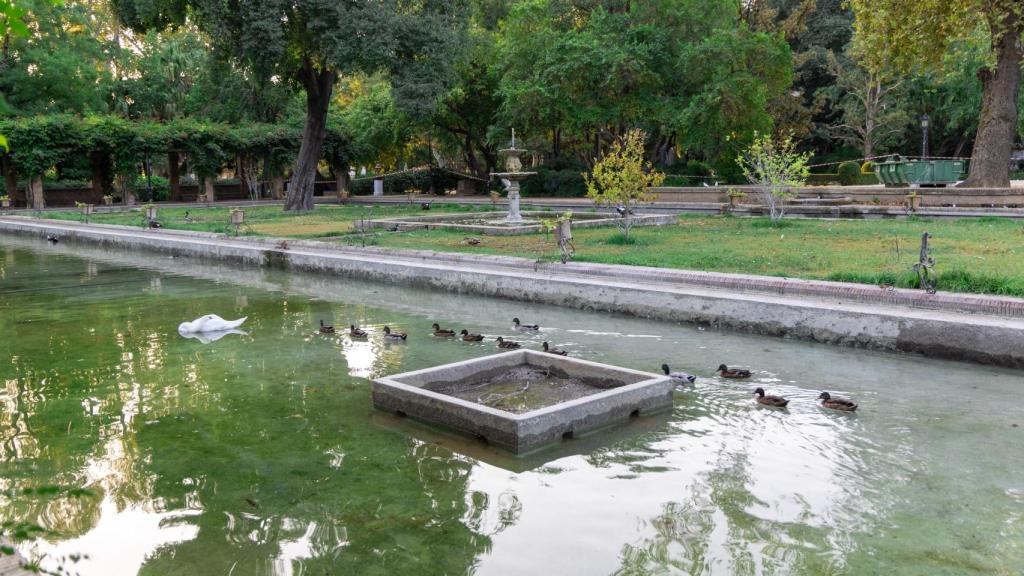 El Estanque de los Lotos del Parque de María Luisa.