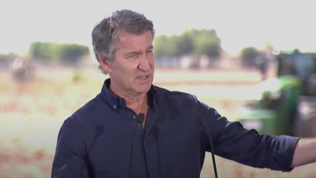 El presidente del PP, Alberto Núñez Feijóo.