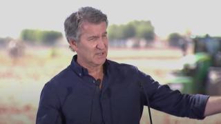 El presidente del PP, Alberto Núñez Feijóo.