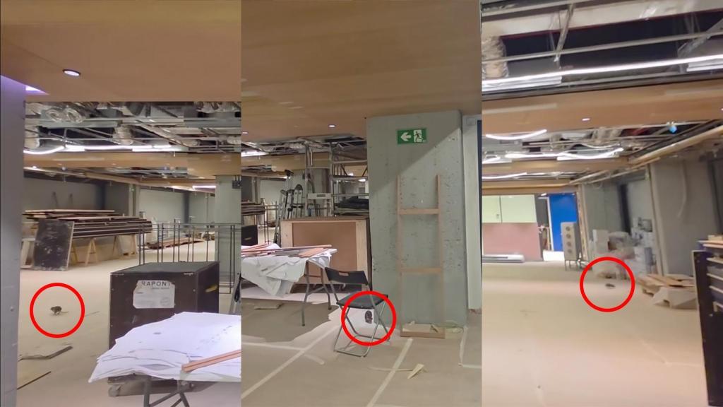 Graban a una rata dentro de las obras del nuevo Camp Nou