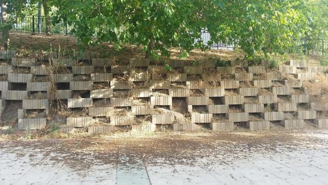 Las ratas salen y entran de los huecos de este talud artificial