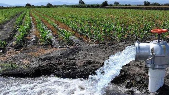Un punto de riego en el Campo de Cartagena.