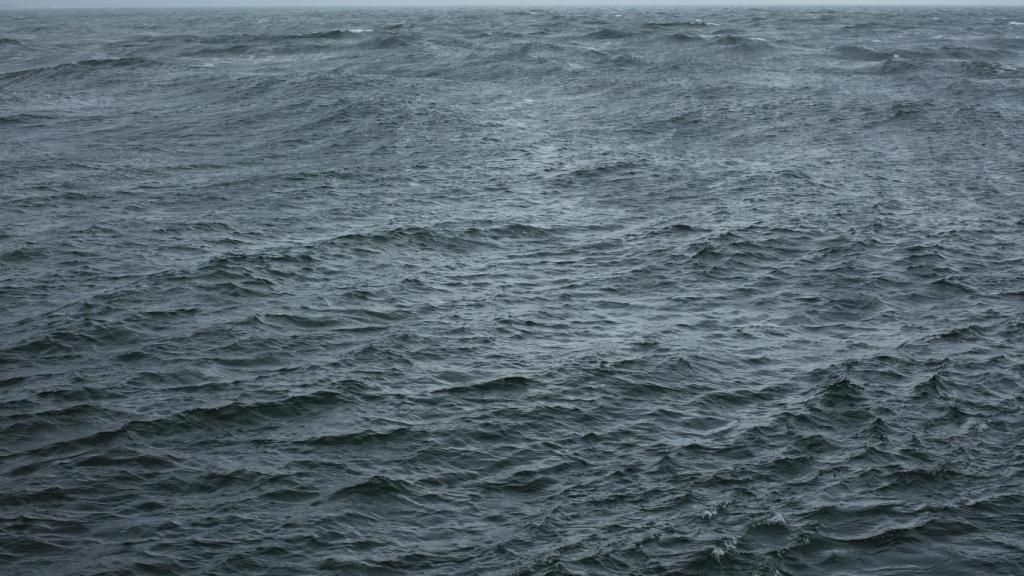 Wolfgang Tillmans: 'The State We’re In'. Foto: Courtesy Galerie Buchholz, Galerie Chantal Crousel, Paris, Maureen Paley, London, David Zwirner, New York