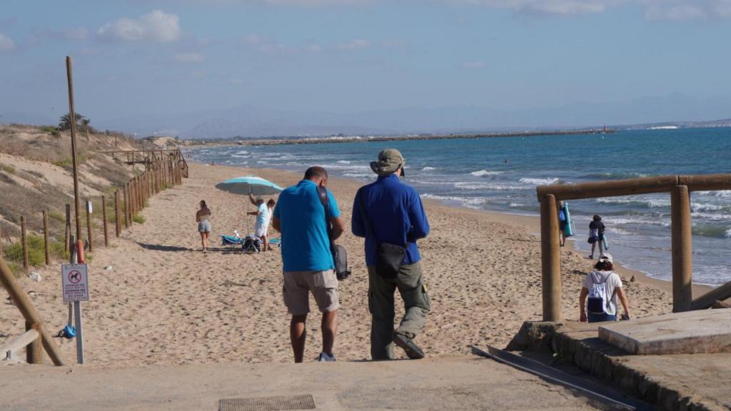 Trabajadores de Costas en la playa dels Vivers de Guardamar del Segura.