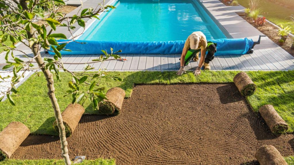 Imagen de ilustración.