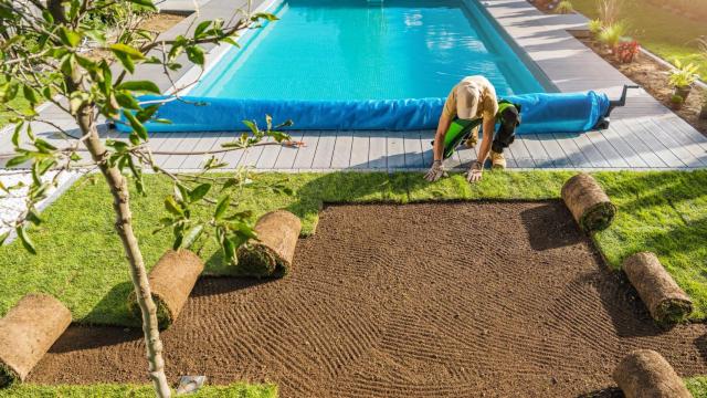 Imagen de ilustración.