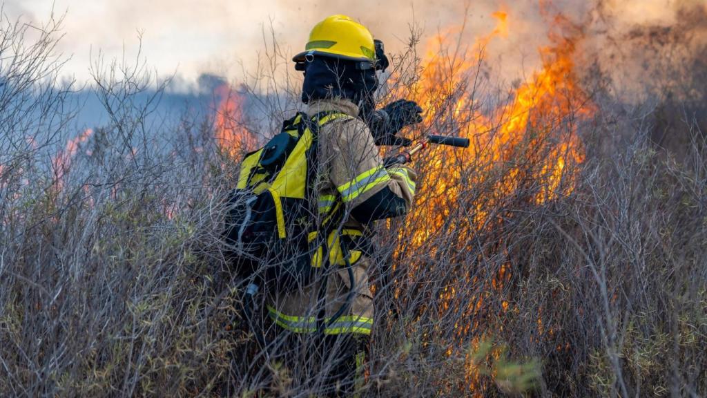 Un bombero forestal