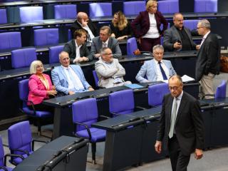 Merz atraviesa el Bundestag bajo la atenta mirada de la bancada de AfD.