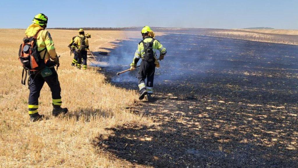 Bomberos forestales de Castilla-La Mancha. Foto: Infocam