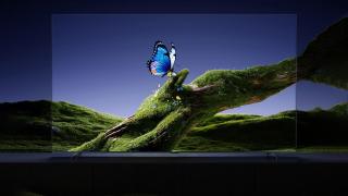 Xiaomi TV S Pro Mini LED 2026.