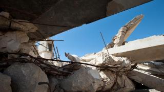 Un gato entre los escombros de Gaza.