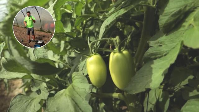 Pablo Játiva, agricultor de Santa Eulalia del Campo (Teruel)