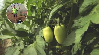 Pablo Játiva, agricultor de Santa Eulalia del Campo (Teruel)