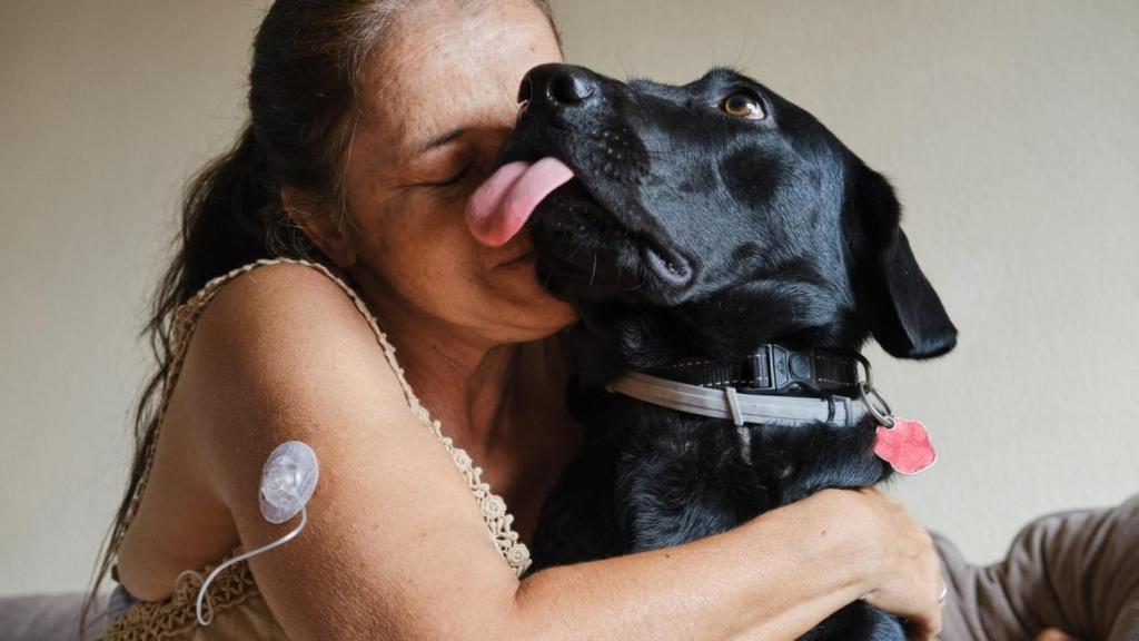 Un labrador retriever con una mujer.