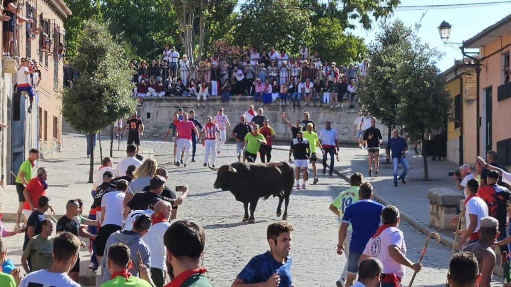 Saltavallas por las calles de Tordesillas