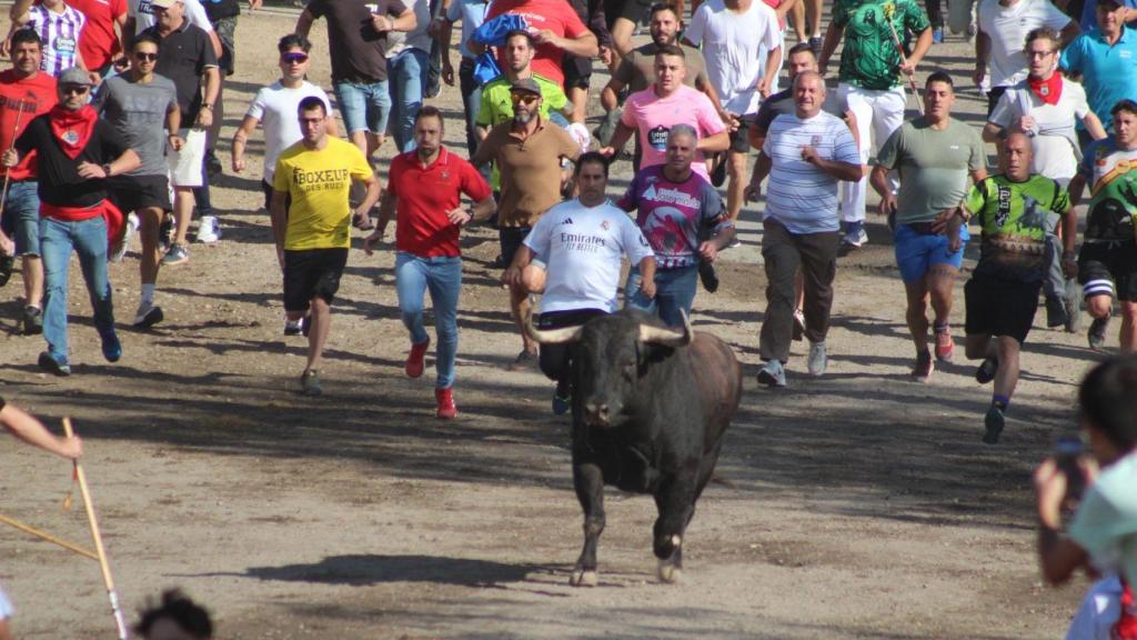 Saltavallas, protagonista del Toro de la Vega 2025
