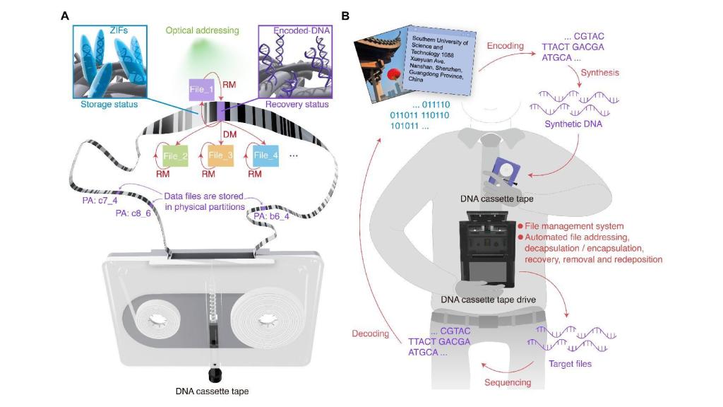 Diagrama del sistema de almacenamiento descrito en el artículo