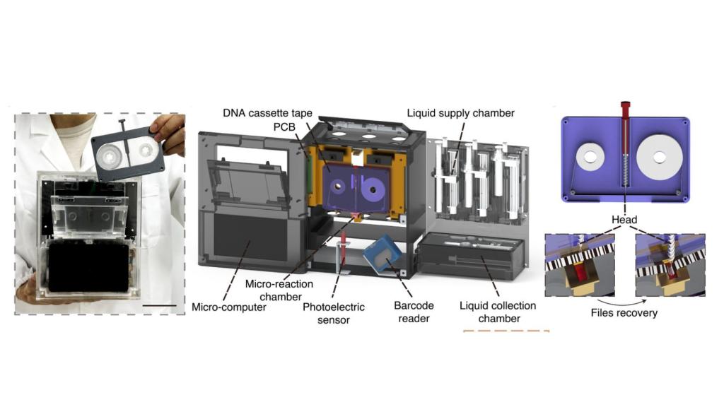 Diagrama explicativo de las cintas de almacenamiento de ADN