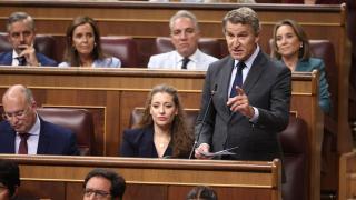 El presidente del PP, Alberto Núñez Feijóo, durante el Pleno del Congreso de este miércoles.