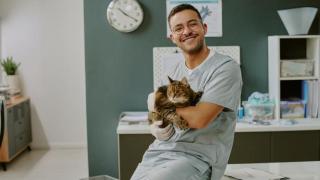 Un veterinario con un gato en brazos.