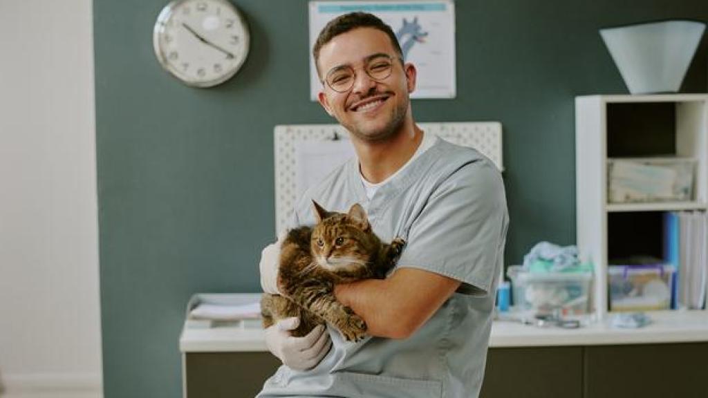 Un veterinario con un gato en brazos.