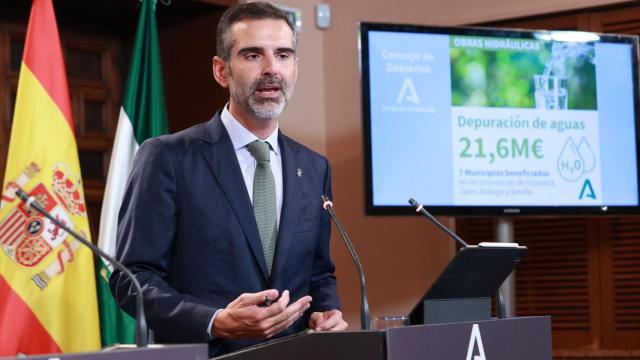 El consejero Ramón Fernández-Pacheco, este miércoles en el palacio de San Telmo.