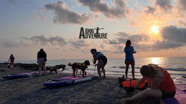Un grupo de persones de viaje con Dogaventure.
