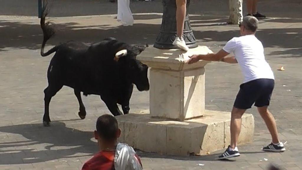 Encierros de Mondéjar.