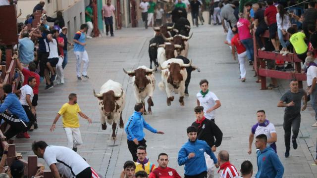 Primer encierro en Guadalajara por el casco histórico después de varias décadas.
