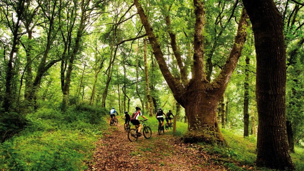 Fraga de Catasós, en Lalín (Pontevedra)