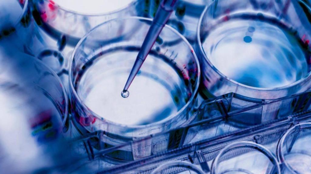 Molecular vio la luz en 2023, fruto de la colaboración entre Carlos Estévez, químico y actual CEO de la compañía y el investigador Eduardo García-Verdugo, aunque la génesis del proyecto se remonta a 2003.