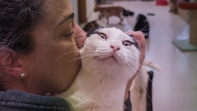 Nieve y Jaimito.