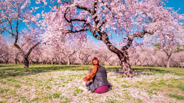 El parque de la Quinta de Molinos, en Madrid.