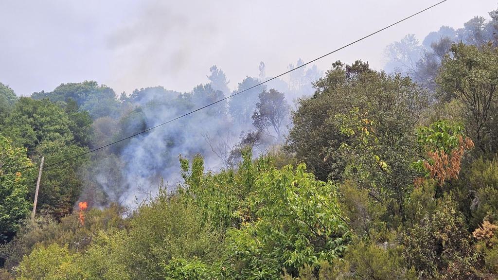 Imagen del incendio en Sobrado (León)